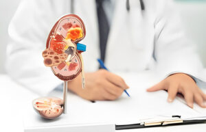 hiperuricemia y enfermedad renal cronica